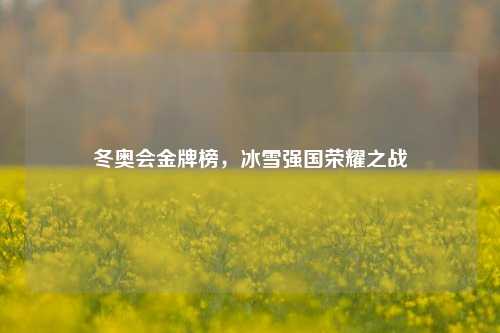 冬奥会金牌榜,冰雪强国荣耀之战