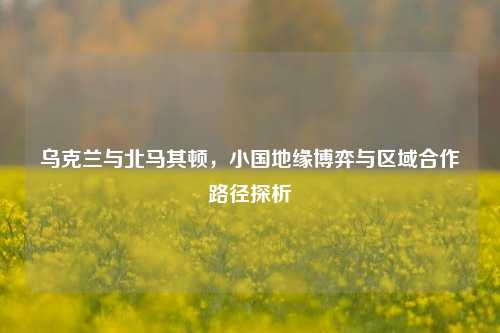 乌克兰与北马其顿,小国地缘博弈与区域合作路径探析