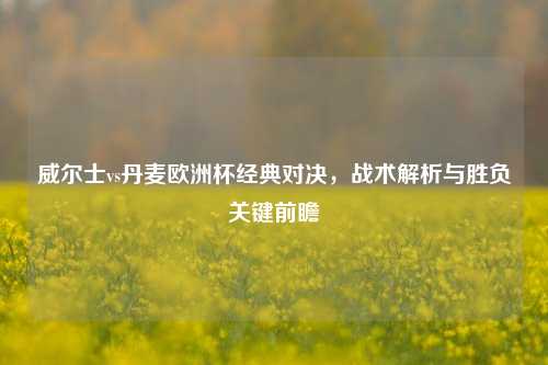 威尔士vs丹麦欧洲杯经典对决,战术解析与胜负关键前瞻