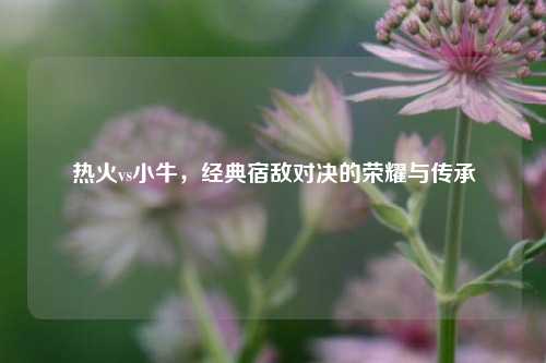 热火vs小牛,经典宿敌对决的荣耀与传承