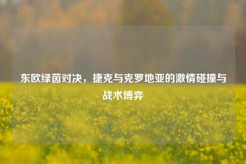东欧绿茵对决,捷克与克罗地亚的激情碰撞与战术博弈