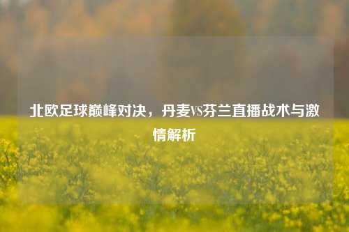 北欧足球巅峰对决，丹麦VS芬兰直播战术与激情解析
