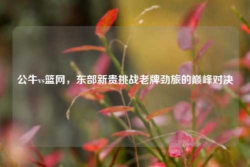 公牛vs篮网，东部新贵挑战老牌劲旅的巅峰对决