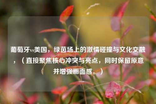 葡萄牙vs美国,绿茵场上的激情碰撞与文化交融,(直接聚焦核心冲突与亮点,同时保留原意并增强画面感。)