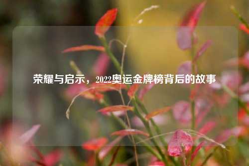 荣耀与启示,2022奥运金牌榜背后的故事
