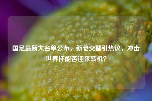 国足最新大名单公布，新老交替引热议，冲击世界杯能否迎来转机？
